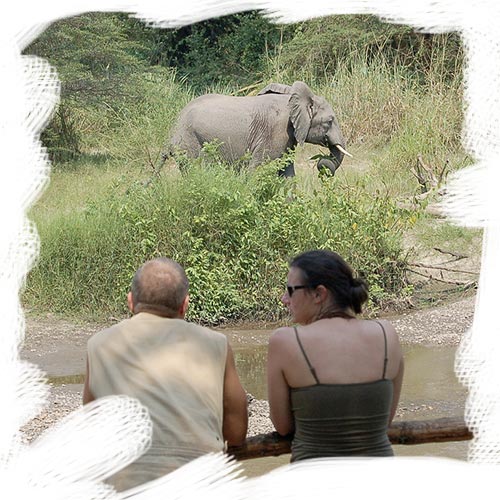 uganda-safari-tour